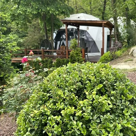 Camping Me-ga Glamping *